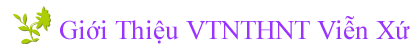 Giới Thiệu VTNTHNT Viễn Xứ