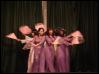 dsc02503.jpg